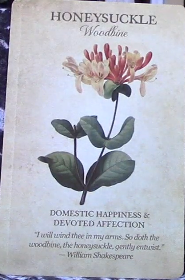 Botanical Inspirations Deck & Book Set